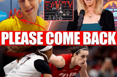 2 Minutes Ago:, shocking WNBA ratings collapse without Caitlin Clark, leaving officials desperate, fans outraged, and league begging for her return.