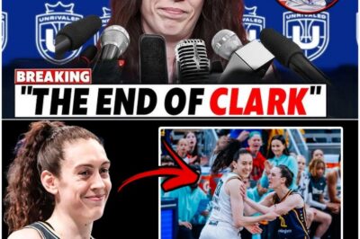 JUST IN: Breanna Stewart Makes JAW-DROPPING Announcement About Caitlin Clark – No One Saw This Coming! Fans EXPLODE With Reactions as WNBA Star Breaks Silence in STUNNING Turn of Events!