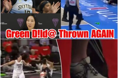 WNBA Game Erupts in Pandemonium as Fan Hurls Enigmatic Green Object Onto Court, Sparking Bedlam, Frantic Player Reactions, and Security Chaos; League Faces Intensified Scrutiny Amid Viral Outrage and Rampant Speculation Over Bizarre Projectile’s Purpose
