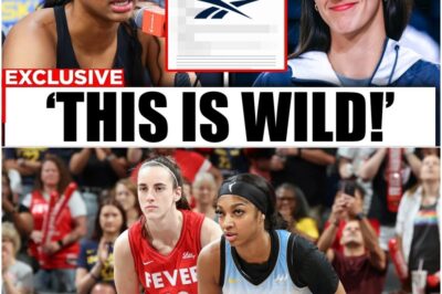 Angel Reese’s Shocking Attack on Caitlin Clark Following Major Sponsorship Loss—This is HUGE! Uncover the explosive confrontation and its implications for both stars.