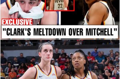 BREAKING: Caitlin Clark’s FURY Unleashed After Mitchell Trade Leak, Fuels Speculation About the Future of the Fever and Clark’s Role in the Drama!