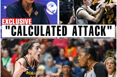 CATASTROPHIC: Fever President COLLAPSES After Ruthless Caitlin Clark Fans Launch COORDINATED Online ATTACK! Chaos Erupts Behind the Scenes as Team Spirals Into TURMOIL – Insider Reveals the Ugly Truth!