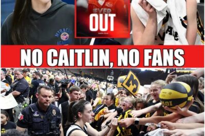 WNBA COLLAPSES! 86% FAN EXODUS CONFIRMED as Caitlin Clark Injury Triggers LEAGUE-WIDE MELTDOWN—Empty Arenas, TV Blackouts, Sponsors Fleeing! BREAKING CRISIS!