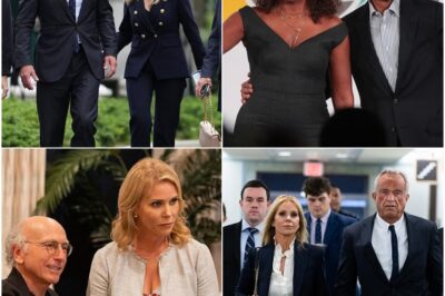 Cheryl Hines ‘Iced Out’ of Larry David’s New HBO Show Produced by Obamas—Insiders Claim She’s ‘Devastated’ & Never Saw It Coming