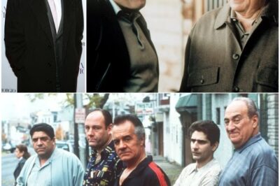 Sopranos Legend Jerry Adler Dies at 96 — Iconic Actor Who Shared Screen with Woody Allen and Shone in The Good Wife Leaves Legacy of Quiet Genius!