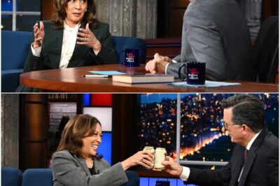 CNN Panel Tears Into Kamala Harris After Colbert Interview, Slamming Her for Offering No Real Solutions—Six Months Gone, Still No Answers! Viewers Outraged as Vice President Fails to Address Nation’s Biggest Crises!