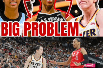 WNBA Ratings TANK w No Caitlin Clark! Fever Sky Game WAY DOWN! NO ONE Tuned In for A’ja Wilson! .The league’s ratings tank without Caitlin Clark, with the Fever-Sky game experiencing a significant decline. The absence of Clark is deeply felt across the league.