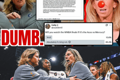 🚨 BREAKING: WNBA SUSPENDS Cheryl Reeve for Playoff Game 4 (reports) — Lynx stunned, appeal looming, credibility questioned; sports fans REJECT a Mercury vs Aces Finals, launching boycotts, petitions, and demanding transparency, accountability, and immediate answers from league brass.