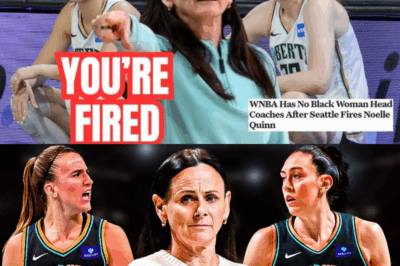 🚨 LIBERTY BOMBSHELL: New York reportedly FIRES championship coach Sandy Brondello; social media erupts as critics accuse a WNBA reporter of “race-baiting for clicks”—network in damage control, ethics questions explode, and the East’s balance tilts overnight.