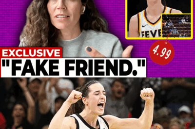 Sue Bird CALLS Caitlin Clark A “FAKE FRIEND” After What She Claims Is A Stunning Betrayal Of The WNBA, Fans Stunned, Social Media Exploding, And Analysts Warning This Explosive Rift Could Ignite One Of The Most Heated Player-Versus-Legend Feuds In Women’s Basketball History