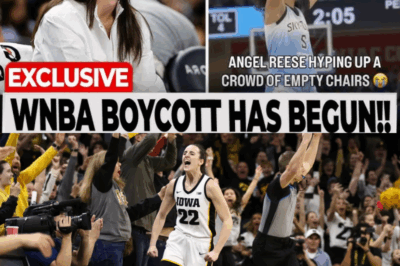 Caitlin Clark’s Injury TORPEDOES The WNBA Playoffs, Fans Furious And Launching A BOYCOTT, With Social Media EXPLODING, Analysts Warning Ratings Could COLLAPSE, And Critics Claiming The League Just Lost Its Biggest Draw At The Worst Possible Time, Plunging Women’s Basketball Into Its Most Devastating Crisis Yet.