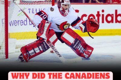 Montreal Canadiens STUN the hockey world as they REVEAL the REAL REASON behind signing 6-foot-4 goaltender Kevin Mandolese—INSIDERS claim this UNEXPECTED MOVE could completely SHAKE UP the team’s future and SIGNAL a dramatic CHANGE in Montreal’s goaltending strategy for the upcoming season!