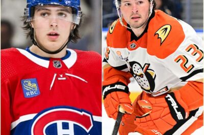 Marco D’Amico Drops a BOMBSHELL, Crushing Wild Canadiens Trade Rumors and Shutting Down All Speculation Linking David Reinbacher to Mason McTavish, Leaving Fans STUNNED and the Hockey World in CHAOS as Insiders Scramble to Uncover the Truth Behind This Jaw-Dropping Revelation That Nobody Saw Coming!