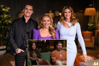 Cleared! MAFS escapes sanction over explosive “door‑punching” scene — despite 50 furious complaints about domestic violence portrayal