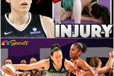 Breanna Stewart’s Injury Throws WNBA Playoffs into Chaos – Will Her Team’s Championship Hopes Survive, or Will This Be a Season-Ending Blow to Their Title Aspirations?