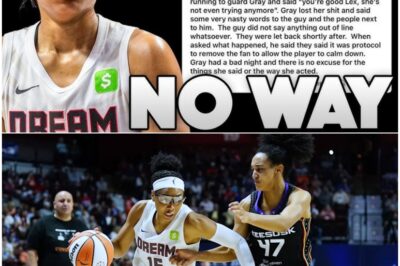 REVEALED: Fan EXPOSES What Was Said to Allisha Gray Moments Before She SNAPPED — Shocking Courtside Clash Gets Fan EJECTED as WNBA Drama UNFOLDS in Unforgettable, Tense Confrontation!