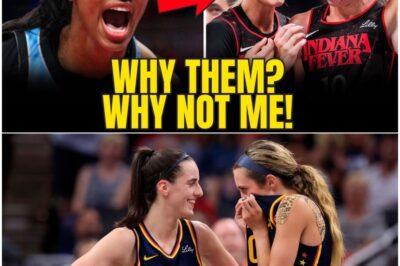 Indiana Fever CLINCH PLAYOFFS Without Caitlin Clark—Haters FUMING as LEXIE HULL Emerges Hero, Fans Scream “PROTECT HER!” in Unbelievable Twist That No One Saw Coming!
