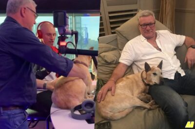 You Won’t Believe The Block host Scotty Cam’s unusual way of remembering his dogs