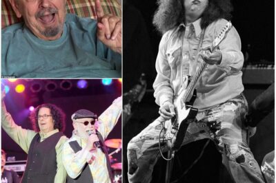 Mark Volman of The Turtles Dead at 78: Founding Member’s Sudden Passing Shocks Fans – The Voice Behind ‘Happy Together’ Silenced by Unexpected Illness!
