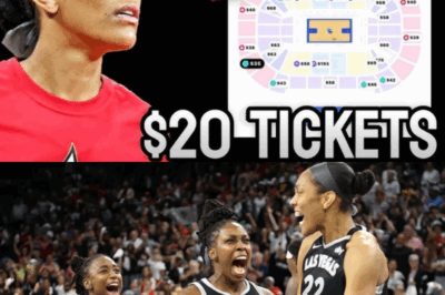 WNBA Finals Ticket Prices TANK For Finals NO FAN Wanted…WNBA FINALS TICKET PRICES PLUMMET TO HISTORIC LOWS: With The Championship Series Failing To Generate Much Excitement, Ticket Prices Have Crashed To Rock-Bottom Levels, Leaving The League Scrambling To Fill Seats And Salvage What’s Left Of A Disappointing Postseason!