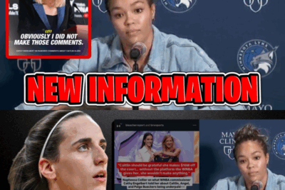 NAPHEESA COLLIER CANCELS MEETING WITH CATHY ENGELBERT: The WNBA Star Has Called Off A Scheduled Meeting With The Commissioner, Citing Engelbert’s Alleged Lies About Caitlin Clark’s Comments – What Does This Mean For The Already-Fraught Relationship Between Players And League Officials?