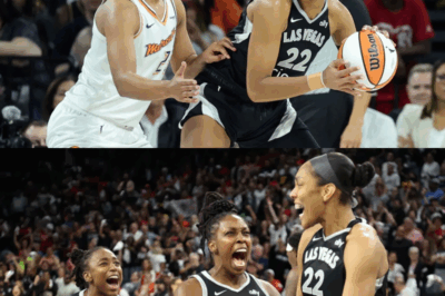 WNBA FINALS TICKET PRICE CRASHES TO JUST $10 — Fans STUNNED As League EXPOSED For Allegedly FAKING Viewership Numbers To Boost Popularity! Critics Say The “Record Ratings” Were A LIE, Leaving Fans Questioning If The Hype Around The Finals Was Nothing More Than A Manufactured Publicity Stunt!