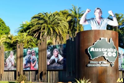BOMBSHELL! Is Australia Zoo REALLY For Sale? The Irwins Drop Shocking Hint — Fans Are PANICKING!