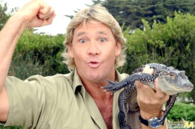 What Really Happened to Steve Irwin? Inside the Tragic Stingray Accident — Cause of Death & Legacy