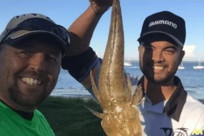 HEARTBREAKING PLANE CRASH BOMBSHELL! Guy Sebastian ABSOLUTELY DEVASTATED & ‘Heartbroken’ Over Friends’ NSW Fiery Deaths – Tearful Tribute EXPLODES!