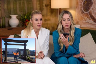 THE BLOCK’S 2025 FINALE WAS A DISASTER! Insider Reveals the ONE DEMOGRAPHIC That VANISHED—‘They Just Didn’t Show Up!’