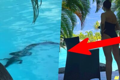 SHOCKING TRUTH! Home and Away Star Kate Ritchie’s Near-Death Croc Encounter In Queensland — “I Thought I Was Gone!”