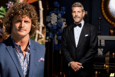 Is Golden Bachie’s Bear About To Pull A Honey Badger? The Investigation