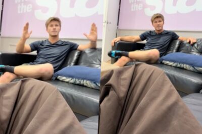 ROBERT IRWIN JUST PASSED THE BIRD THEORY TREND—And His Response Is the MOST Wholesome Thing You’ll See Today! ❤️🐦