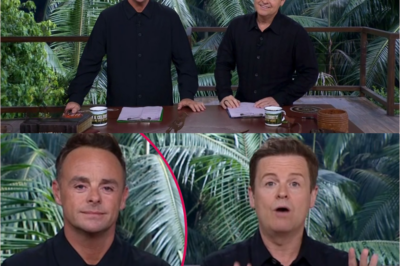 ANT AND DEC SLAMMED As I’m A Celebrity Fans ROAST Their ‘Aged’ Looks in Shocking Finale Appearance – “What Happened To Them?!”