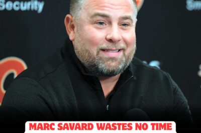 SAVARD BOMBSHELL: Maple Leafs’ former coach makes a DRAMATIC decision within hours of his departure, IGNITING speculation and PANIC across the hockey world. Is Savard plotting a REVOLUTION that could SHAKE the foundations of the NHL and leave Toronto reeling for years to come?