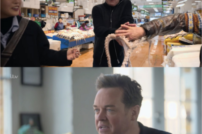 OUTRAGE Erupts Over Ant and Dec’s Accidental Tourist – ITV Viewers FURIOUS at Stephen Mulhern Show: “Animal Abuse Isn’t Entertainment!” Thousands Slam “Cruel Stunts,” Demand Ban: “This Is Disgusting!”